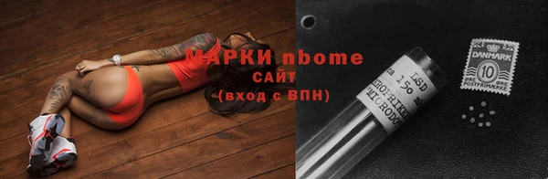 гидра Вязьма