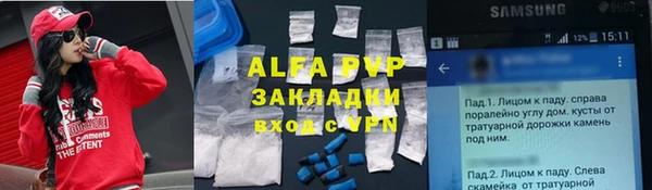 гидра Вязьма