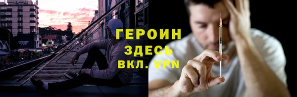 гидра Вязьма