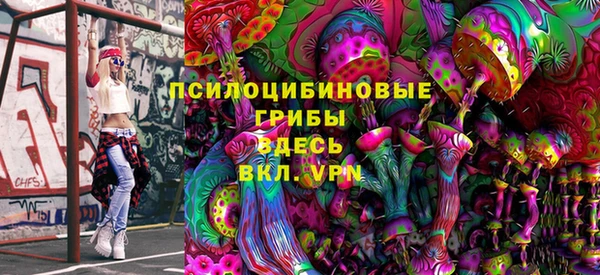 молекула духа Вязники
