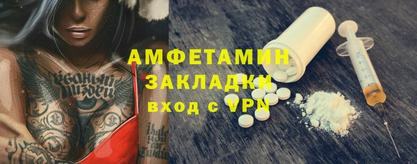гидра Вязьма