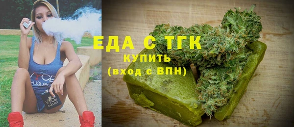 гидра Вязьма