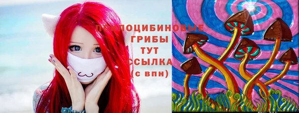 гидра Вязьма