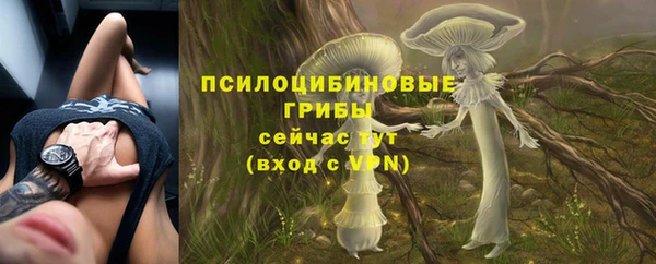 молекула духа Вязники