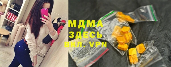 гидра Вязьма