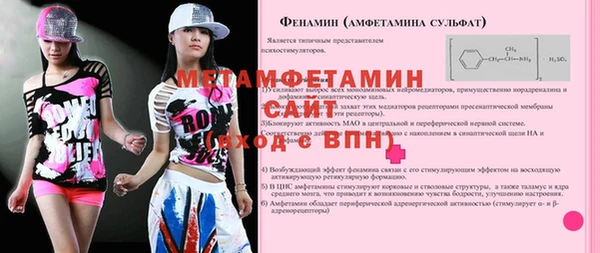 гидра Вязьма