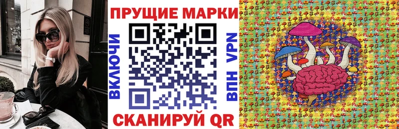 что такое   Гусиноозёрск  Марки N-bome 1,8мг 