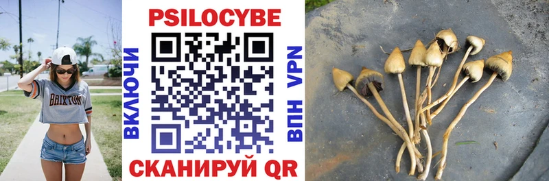Псилоцибиновые грибы мицелий Гусиноозёрск