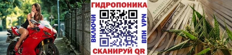 где найти наркотики  OMG ССЫЛКА  Бошки Шишки план  Гусиноозёрск 